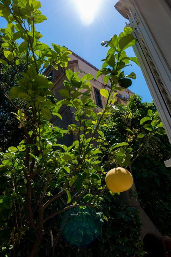 Villa Ida Dubrovnik Exteriör bild